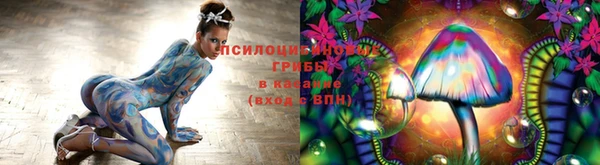 гашик Остров