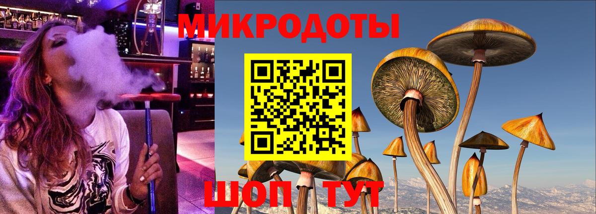 Псилоцибиновые грибы Cubensis  Псилоцибиновые грибы Psilocybe  цены   Торжок  Вход с VPN 