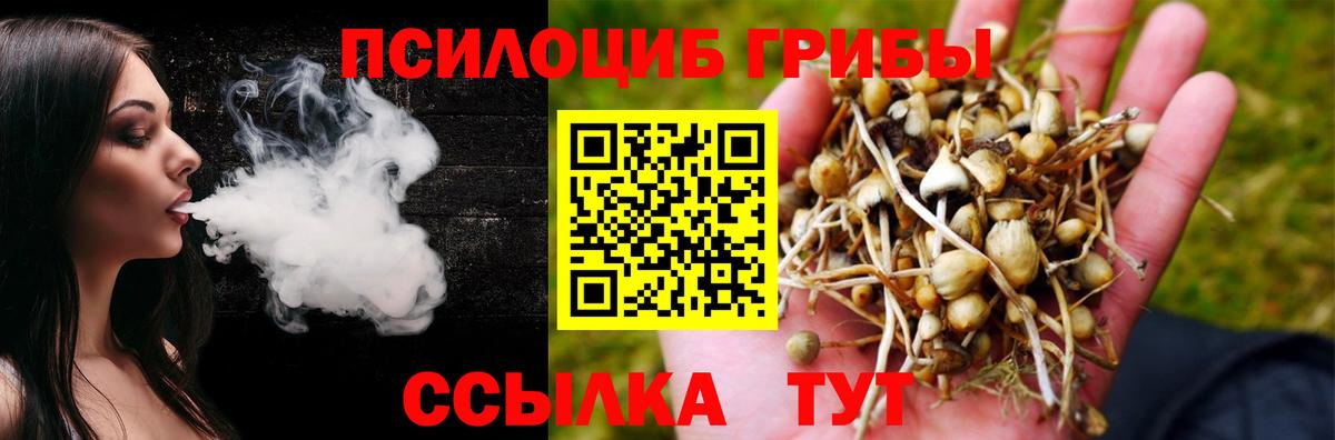 Галлюциногенные грибы мицелий Торжок